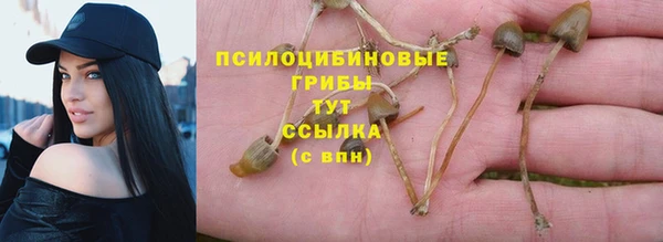 стафф Сатка