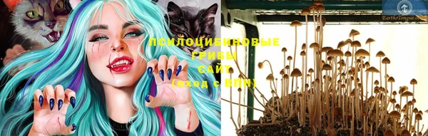 ALPHA PVP Бронницы