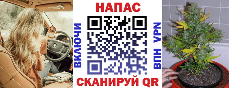 купить наркотики сайты  omg ССЫЛКА  Конопля White Widow  Выборг 